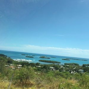 Meet your Posher, Dalimar